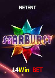 Programa VIP 14Win Bet